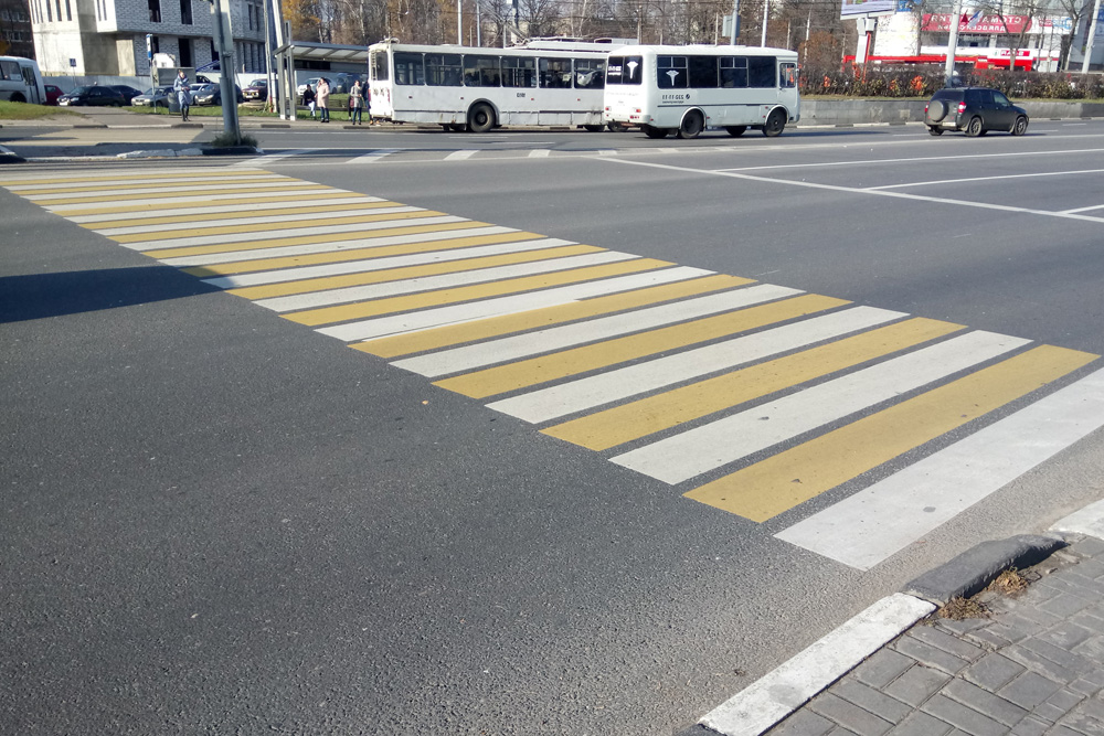Блогер Илья Варламов: «В Воронеже не хватает пешеходных переходов»