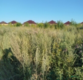 Ход строительства дома 8 в ЖК Расцветай на Зорге -