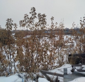 Ход строительства дома 4 в ЖК Расцветай на Зорге -