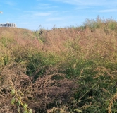 Ход строительства дома 8.1 в ЖК Форест -