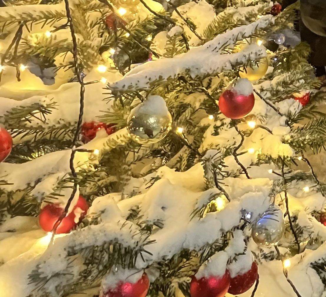 Новогодняя елка появилась у у кинотеатра «Импульс» в Приокском районе - фото 1