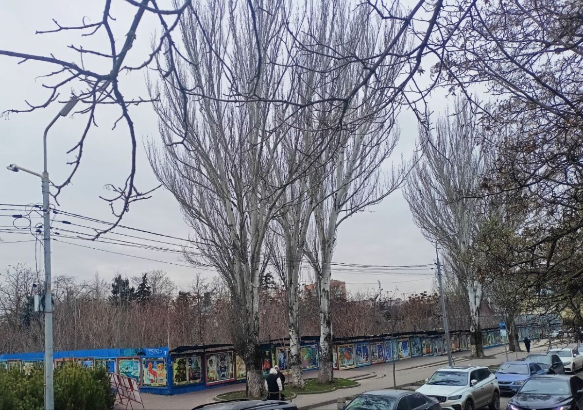 Слюсарь подтвердил реконструкцию кинотеатра «Россия» в Ростове к 2028 году - фото 1