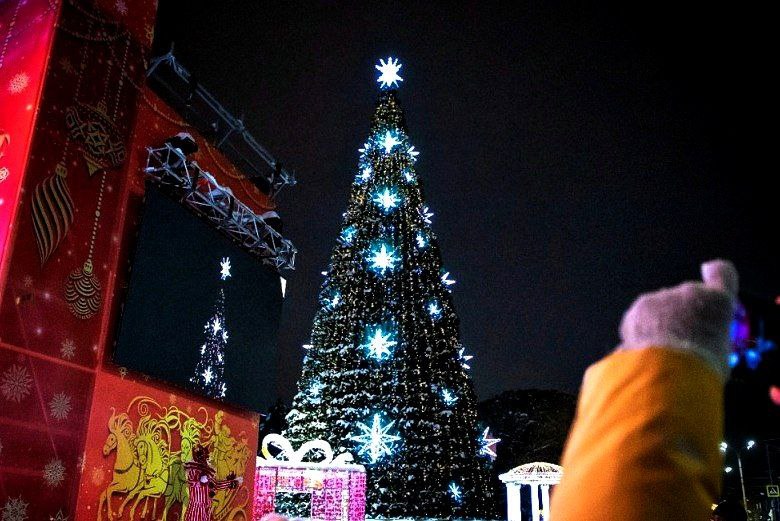 К 10 декабря у входа в парк им. М. Горького в Ростове установят главную елку города - фото 1