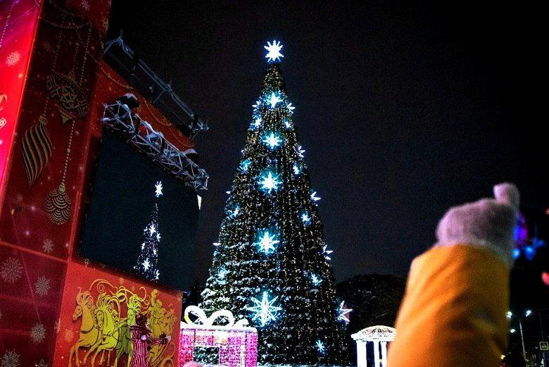Упавшую из-за ветра в январе новогоднюю елку вновь установят в центре Ростова - фото 1