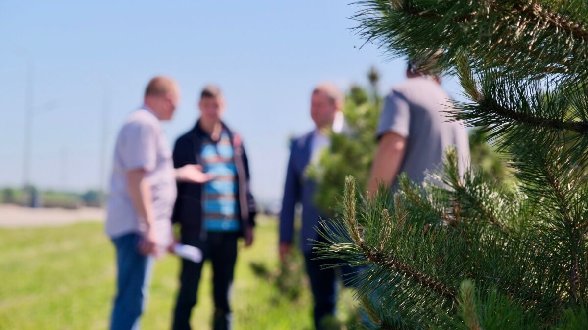 Неприжившиеся зеленые насаждения заменяют по гарантии в Нижнем Новгороде - фото 1