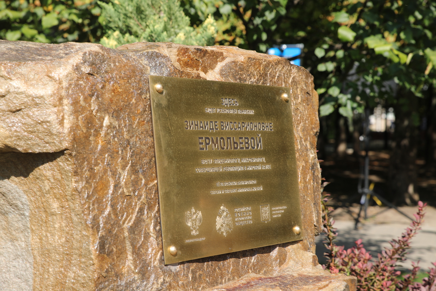 Памятник Зинаиде Ермольевой