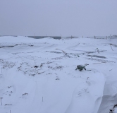 Ход строительства дома 6 в ЖК Фридом Виллэдж (Freedom Village) -