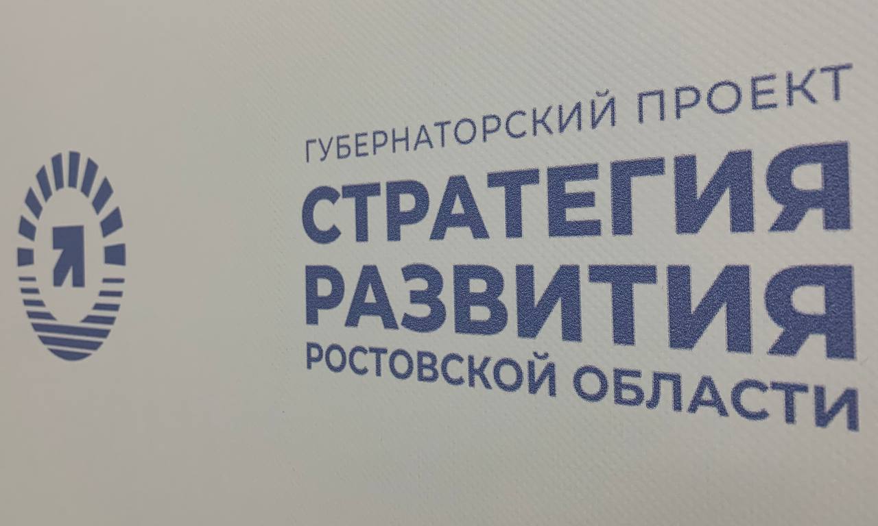Инвестиции, туризм и логистика: в Ростове обсудили инициативы развития Дона - фото 1