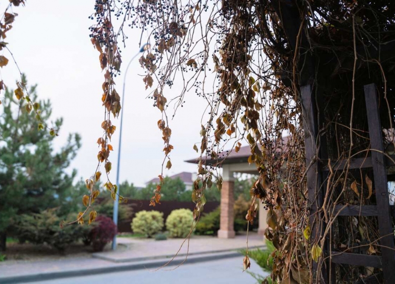 КП Ясная Поляна - фото 33