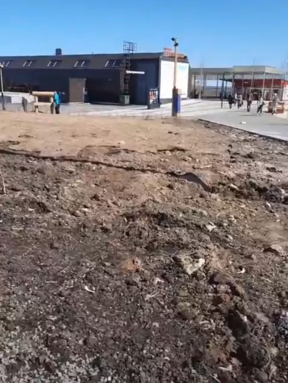 Посаженый зимой газон умер в Нижнем Новгороде